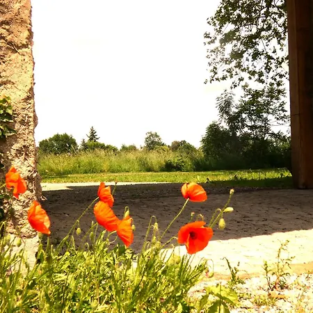 Hébergement de vacances Chateau In Sw France - Comfortable 6 Bedroom House *
